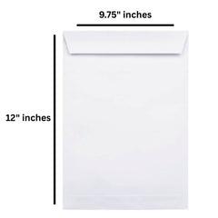 Taj Mahal White Envelope 12
