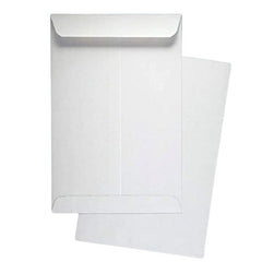 Taj Mahal White Envelope 12