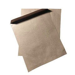 Taj Mahal Kraft Brown Envelope 341 - 12