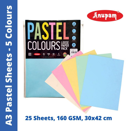 Anupam A3 Pastel Sheets - 5 Colours, 25 Sheets, 160 GSM (329161)