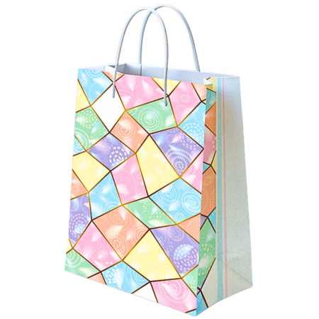 Multicolour Print Paper Bag (Meduim) - M-6010